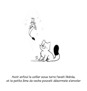 Peau d'âme- page11