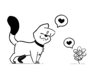 chat-fleur-leschames