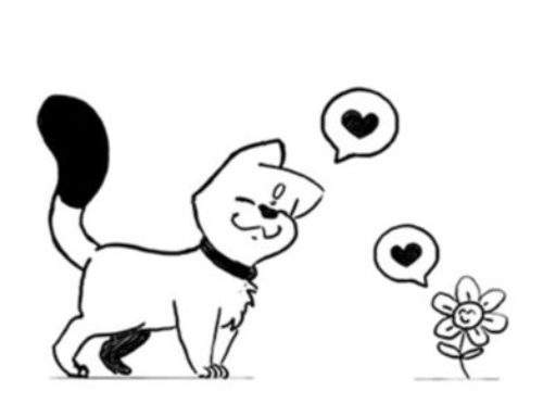 Le chat qui aimait la fleur