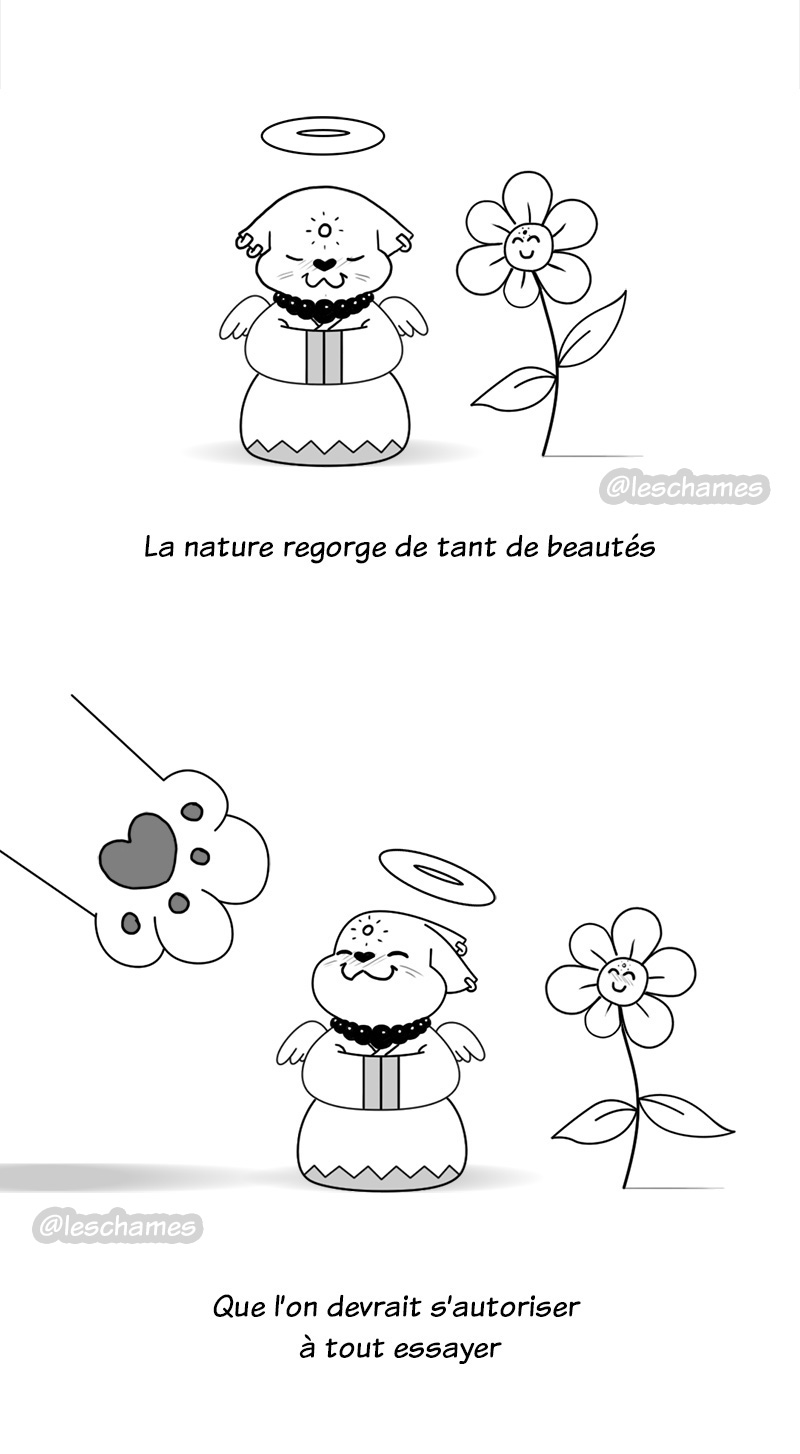 les-chames-bd07-01
