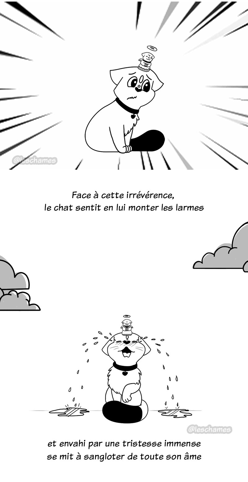 les-chames-bd07-05