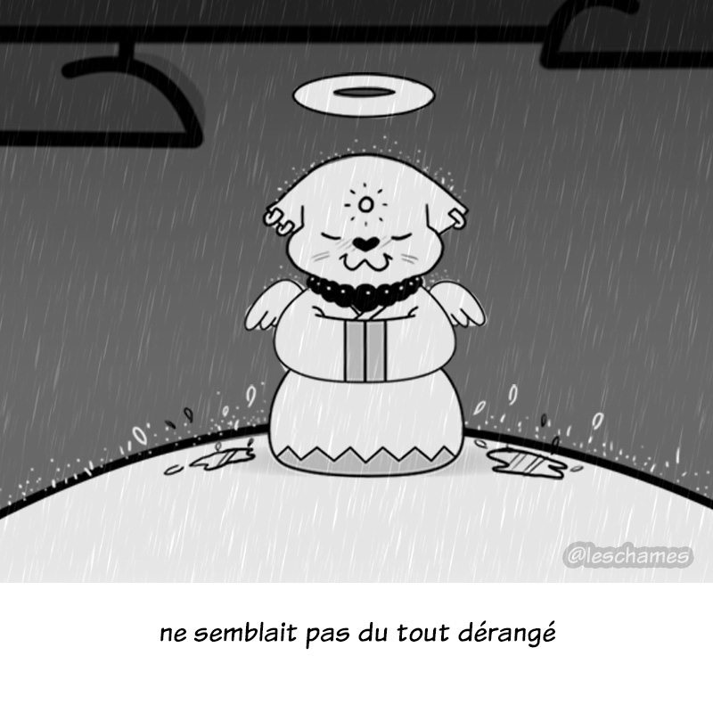 les-chames-bd07-08